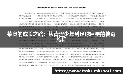 mk体育官网